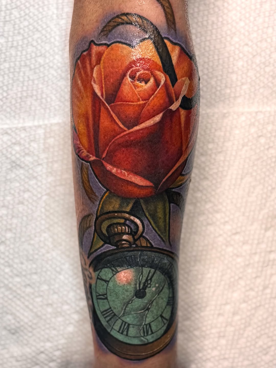 Flower, Rose