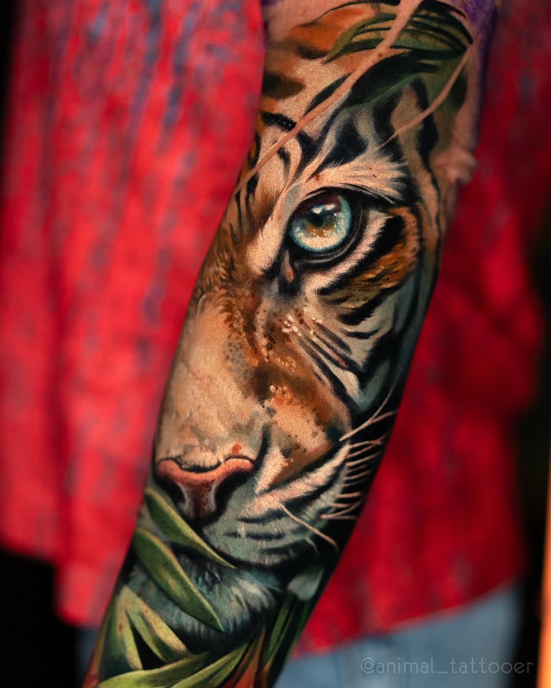 Tiger