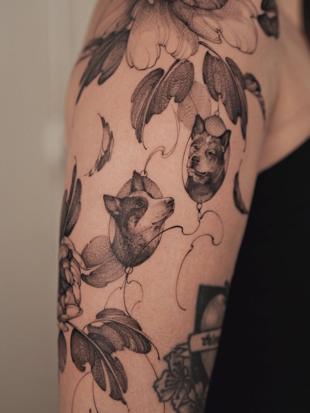 Flower, Rose, Nature
