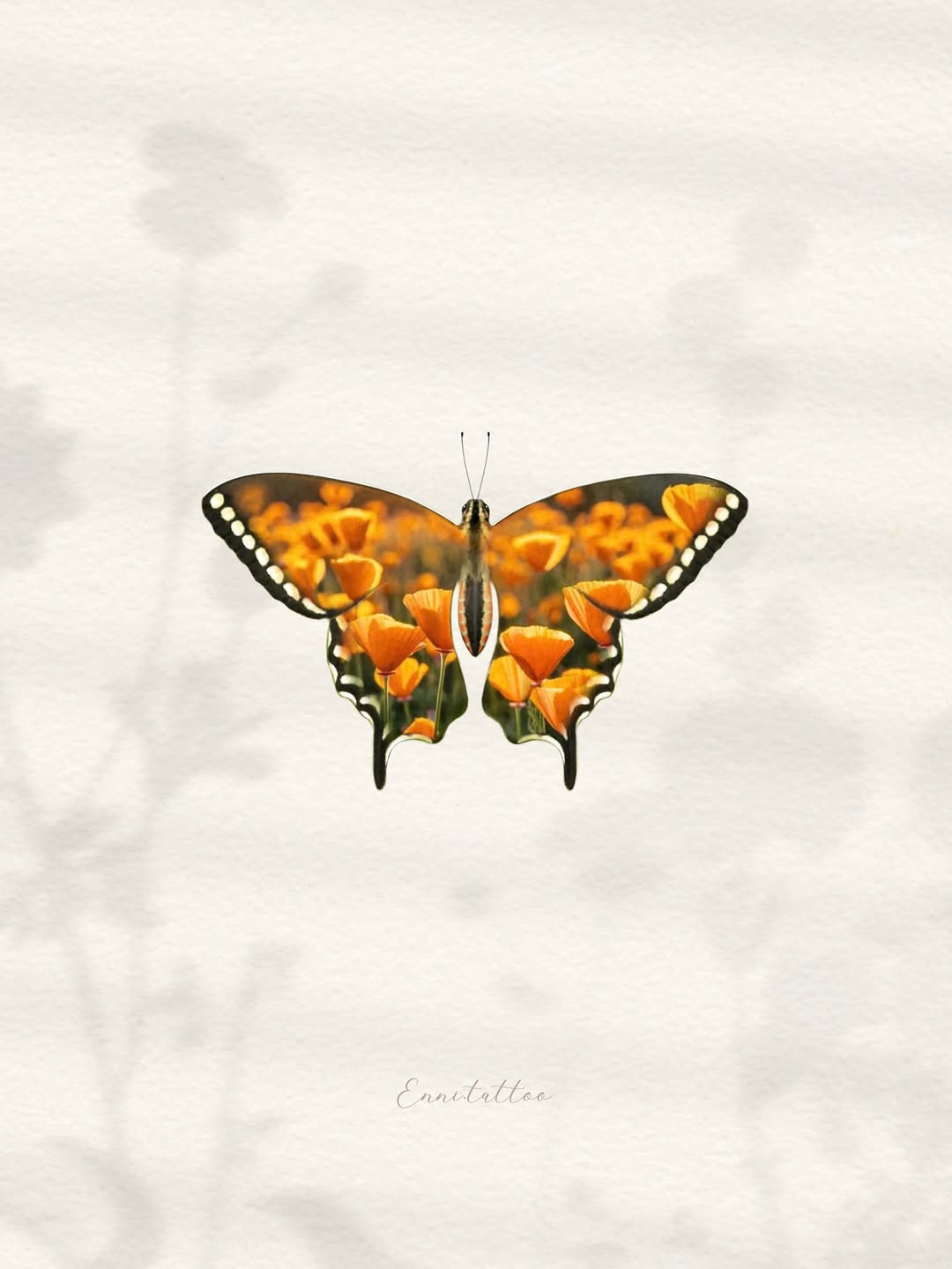 Nature, Animal