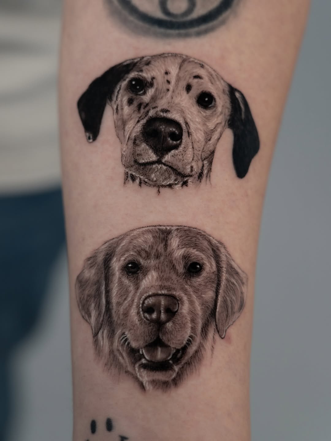 lewis.tattoo
