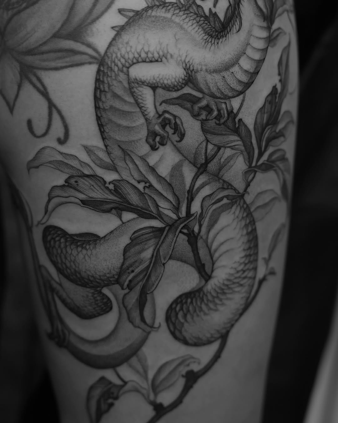 Dragon