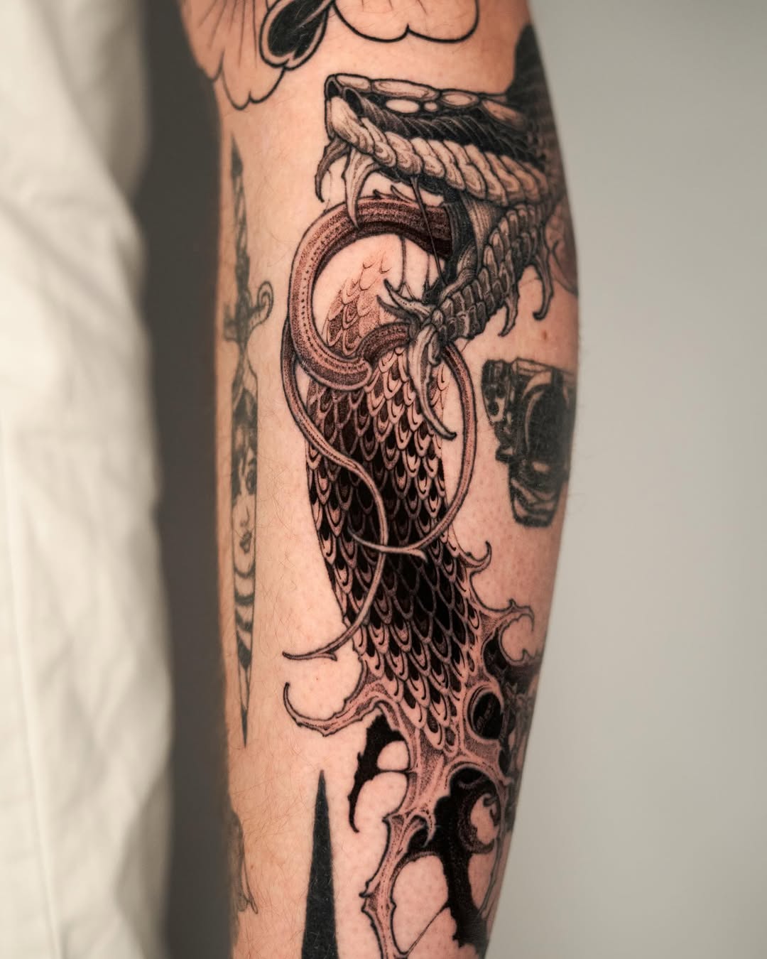Dragon