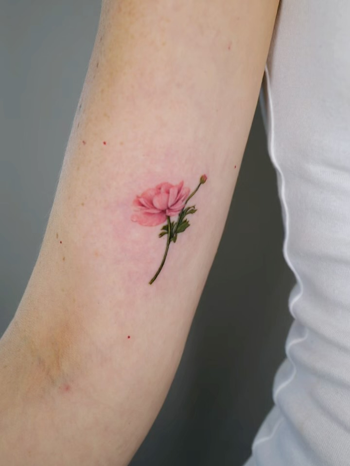 Flower, Rose