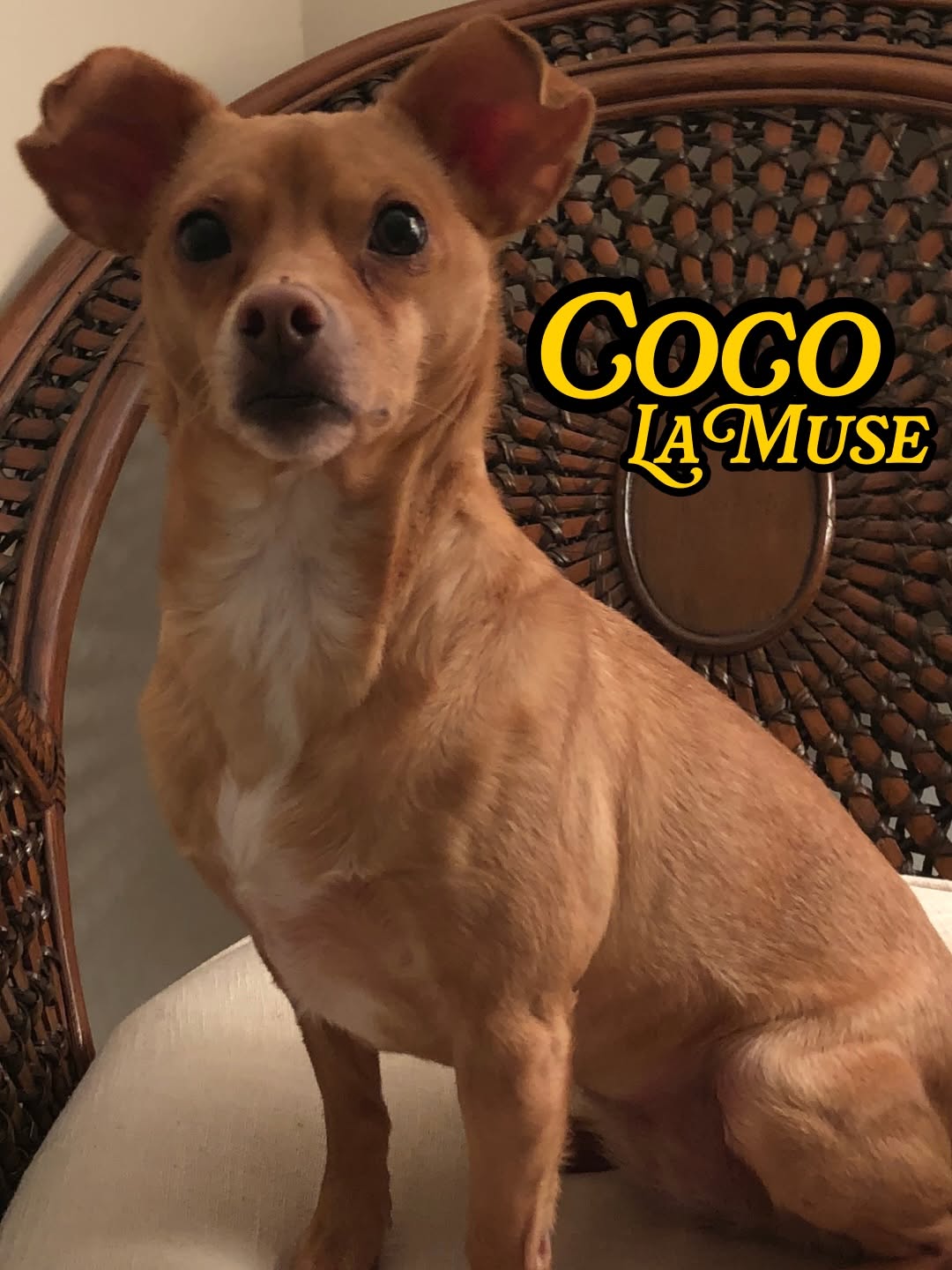 rogerparrilla