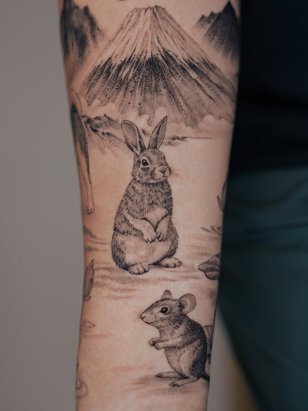 Animal, 토끼