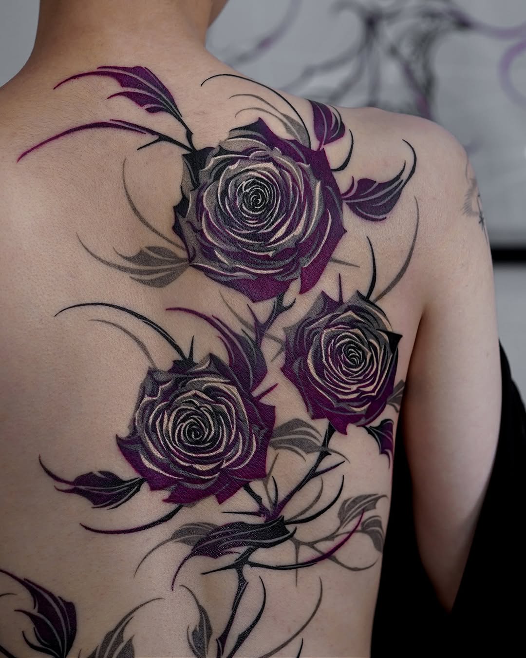 Flower, Nature, Rose