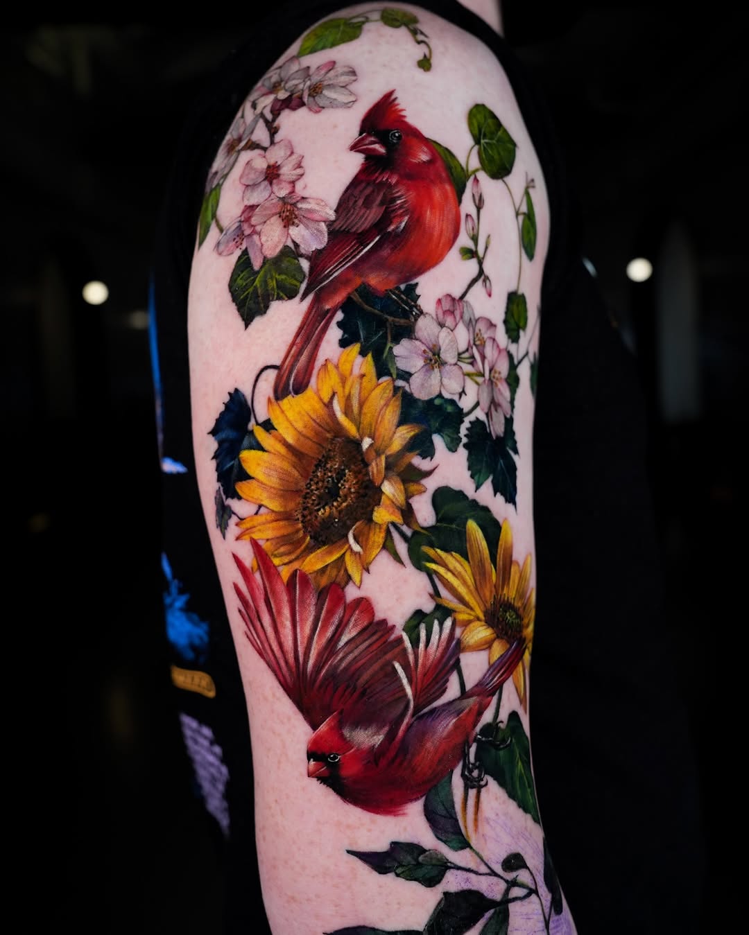Flower, Nature, Animal