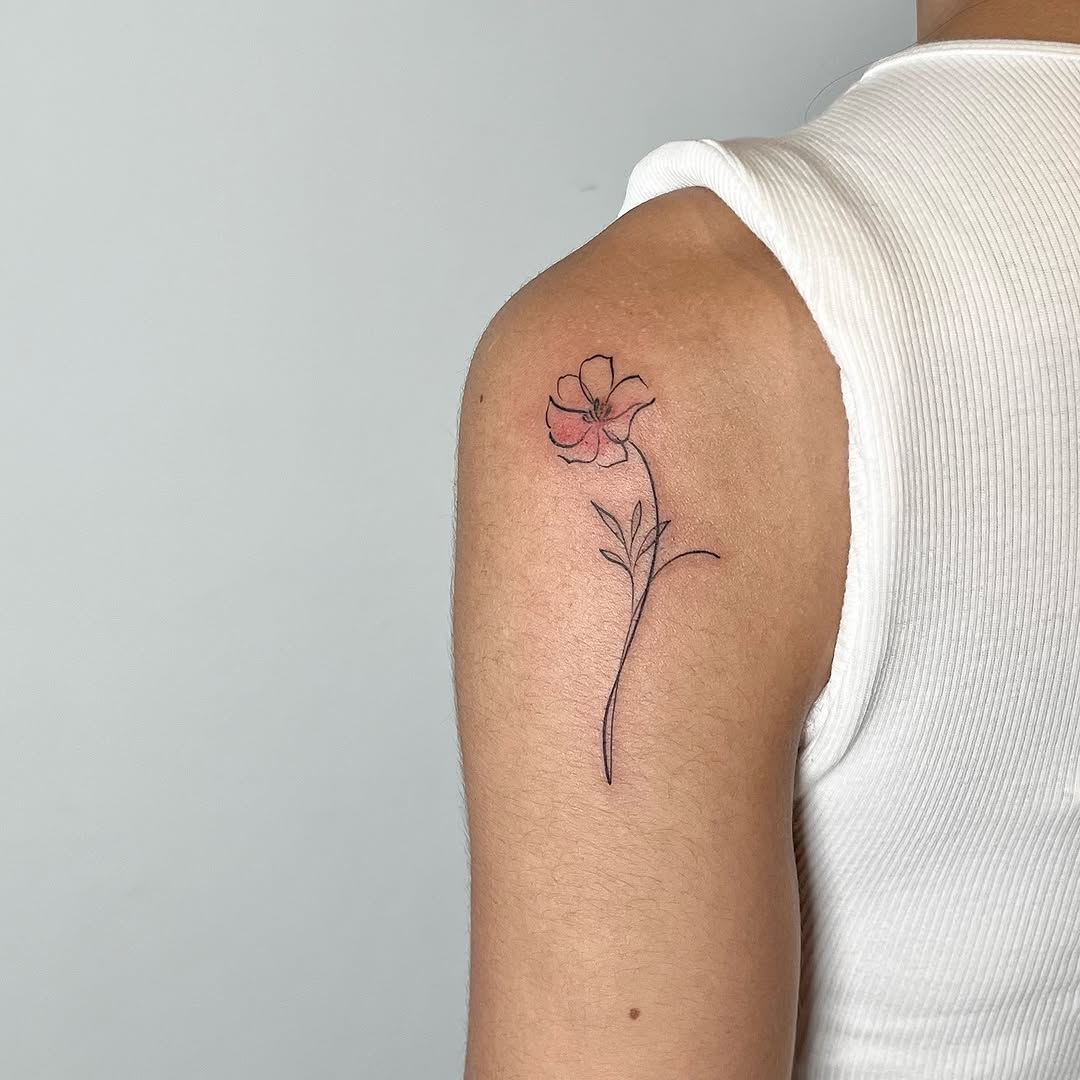 Flower, Rose