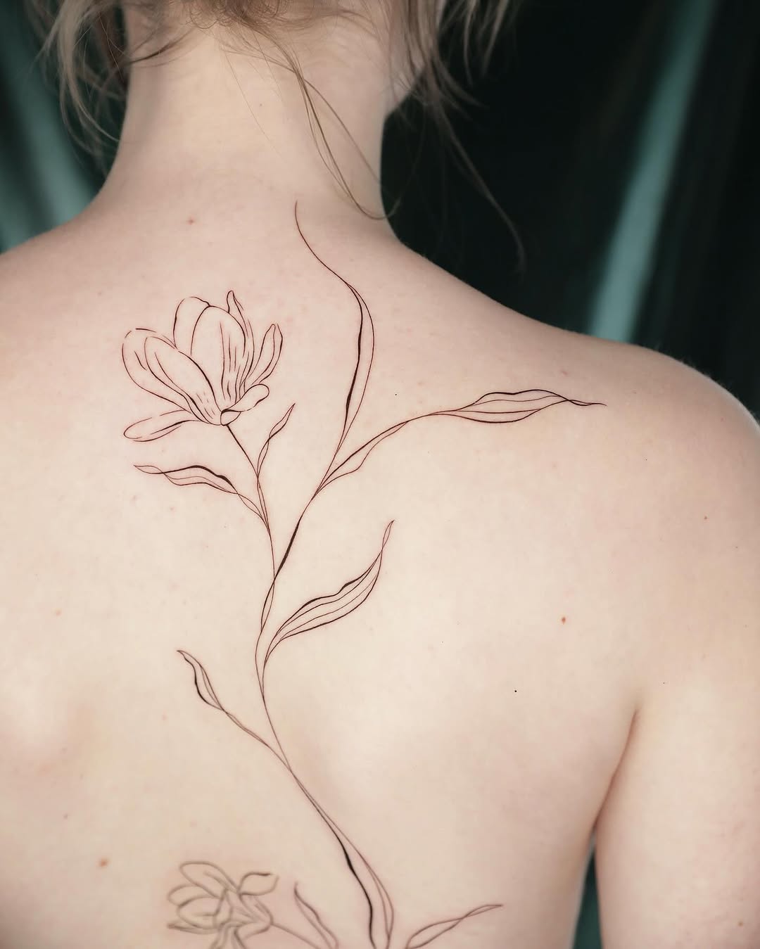 Flower, Nature