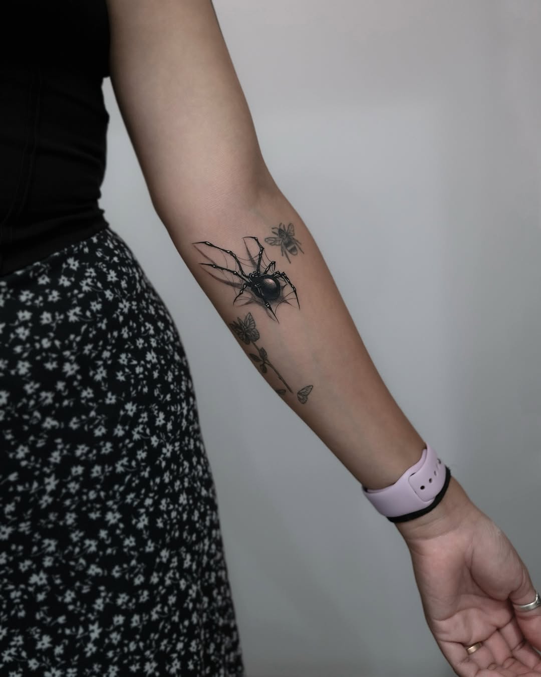 Animal, 거미