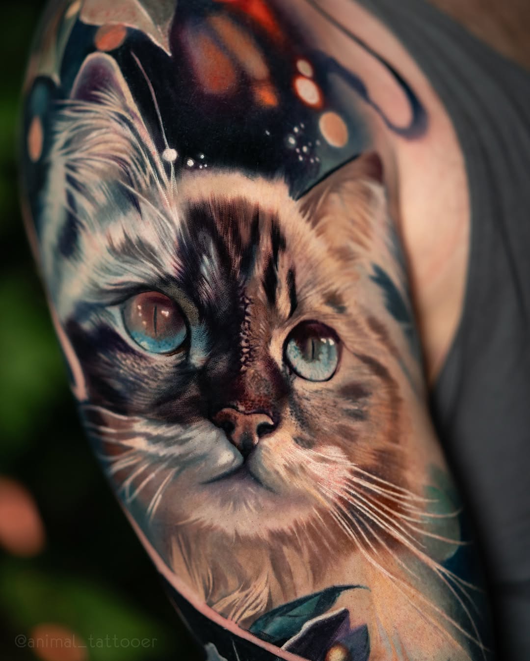 Animal