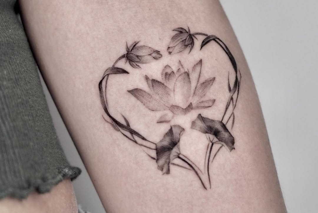 Flower, 연꽃