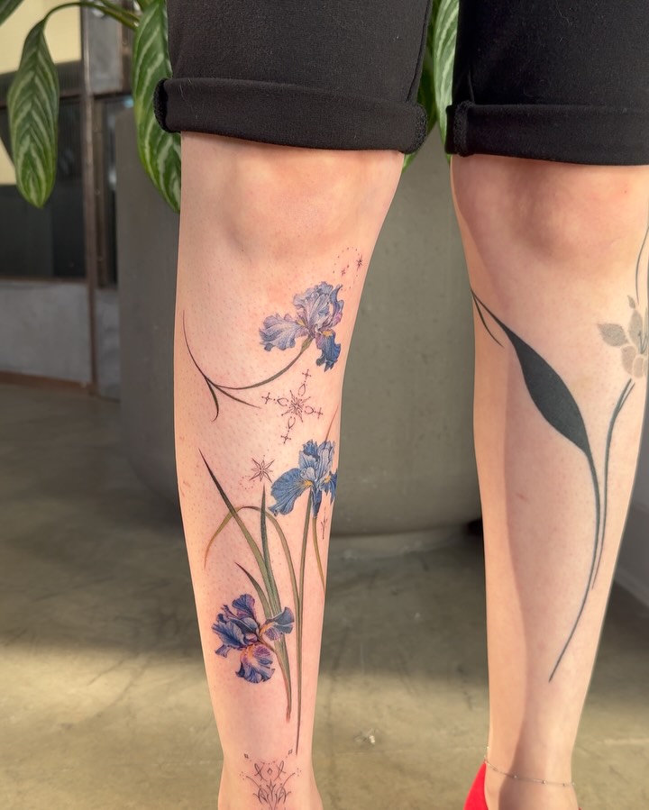 Flower, 아이리스, 난초, 백합, 튤립
