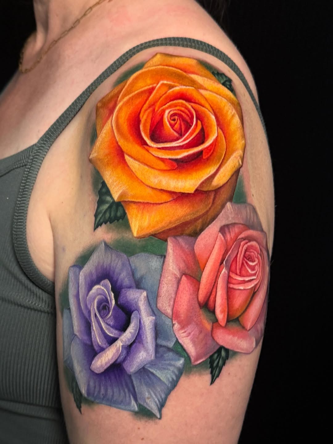 Flower, Rose, Nature