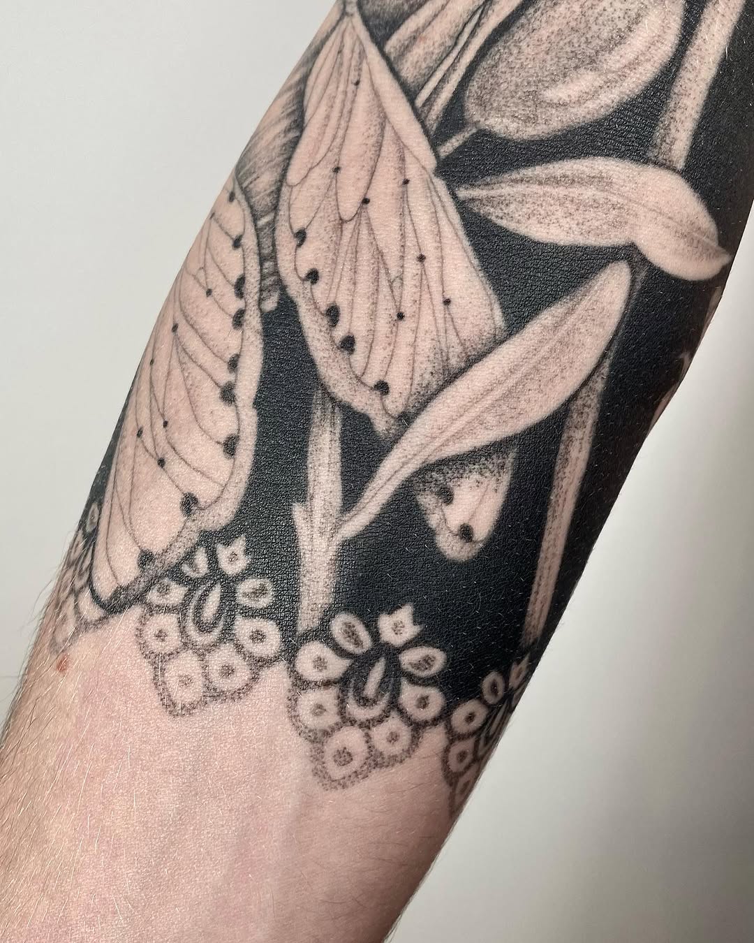 Flower, Animal, Nature, Rose