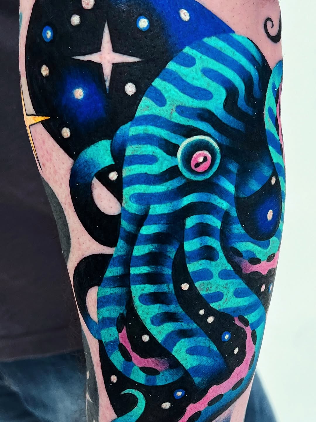 Animal, 문어, 크라켄