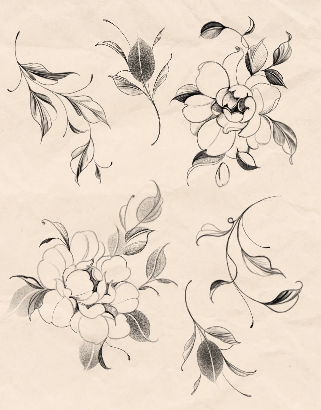 Flower, Rose