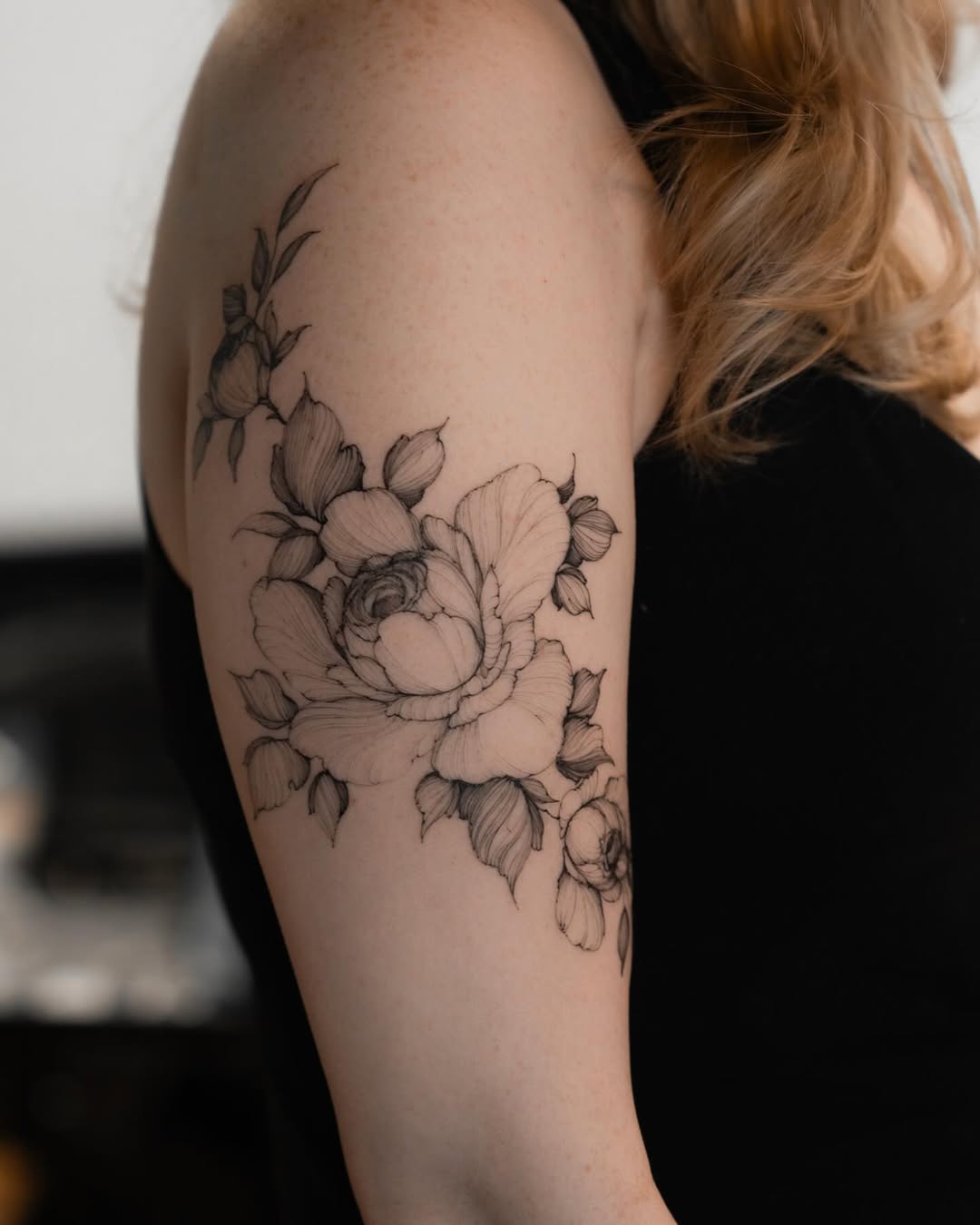 Flower, Rose, Nature, 실루엣, 프레임, 덩굴, 올리브 가지