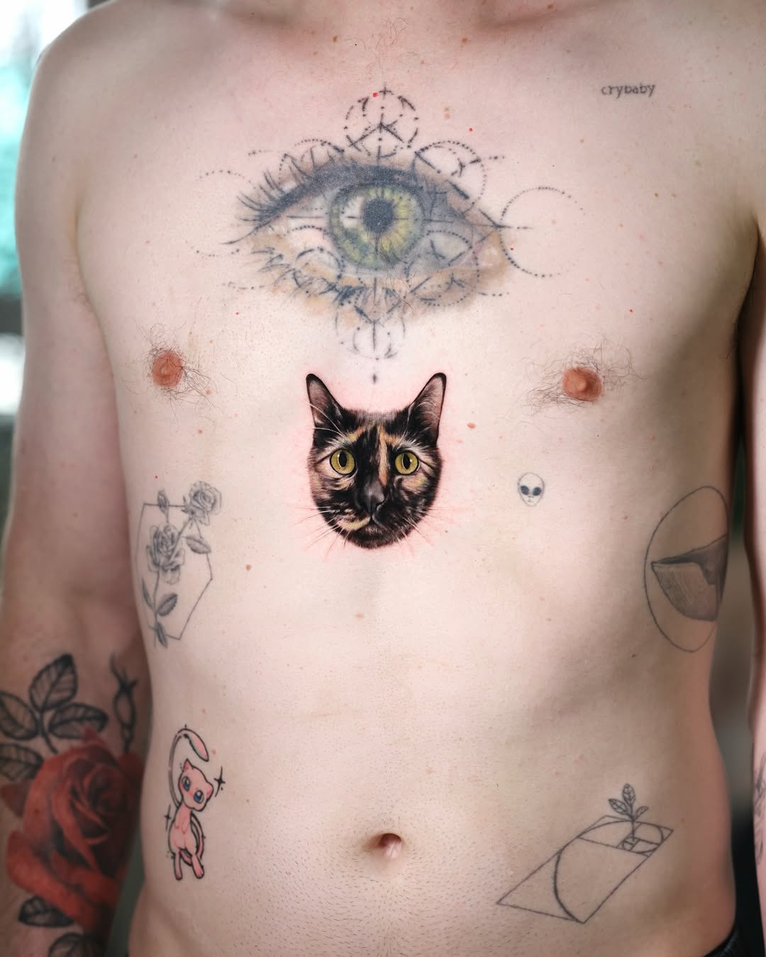 Animal