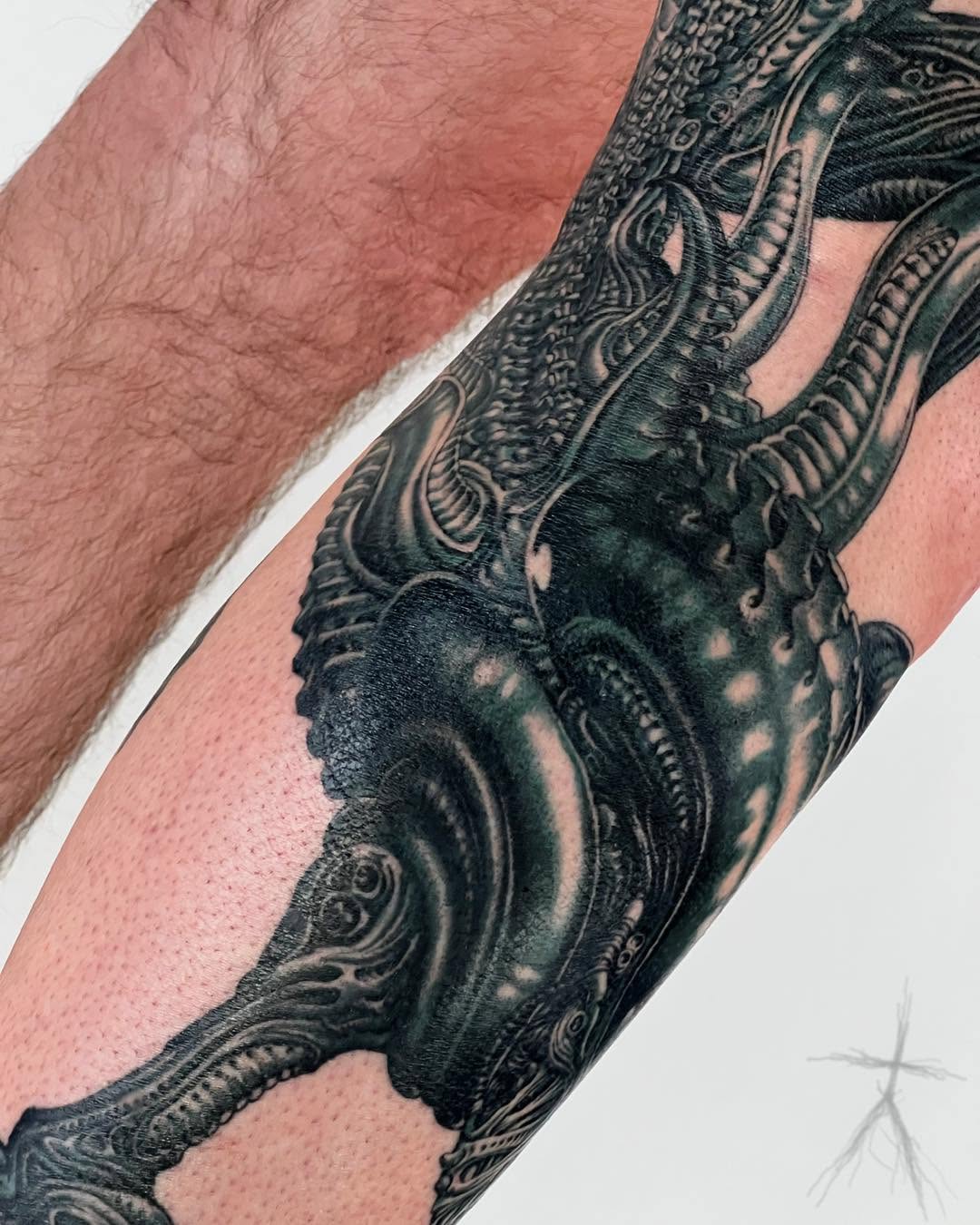 xcjxtattooer