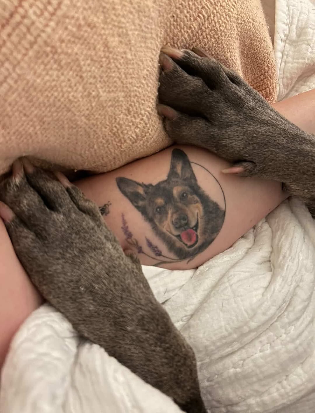 hnnhtattoo