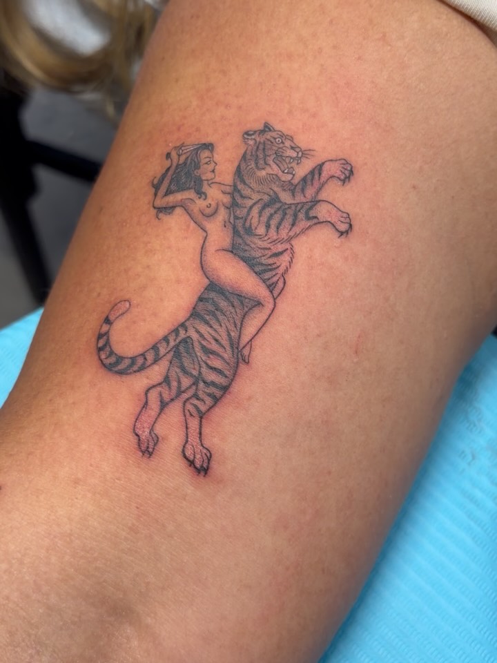 Tiger, Animal, 치타, 팬서, 표범, 여우 가면