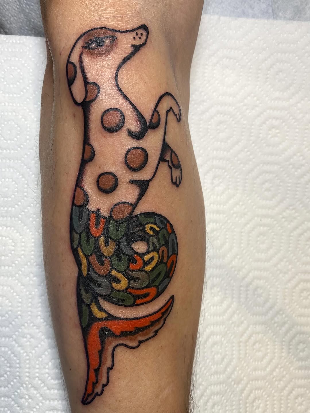 Dragon, 랍스터