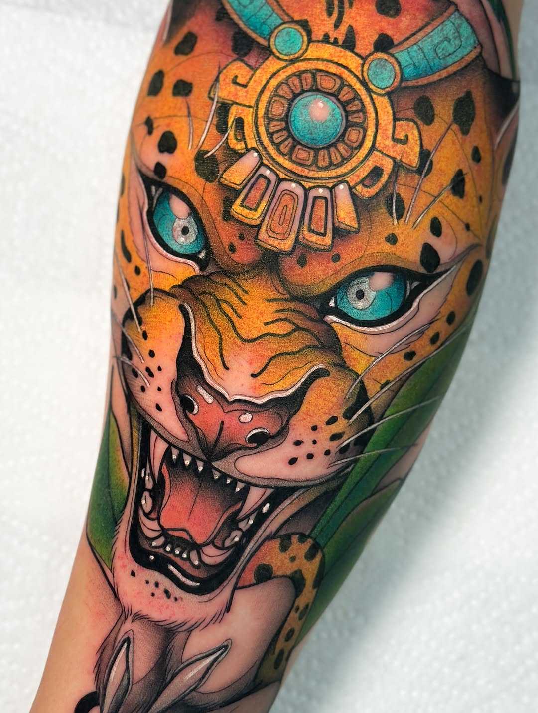 Tiger, Animal