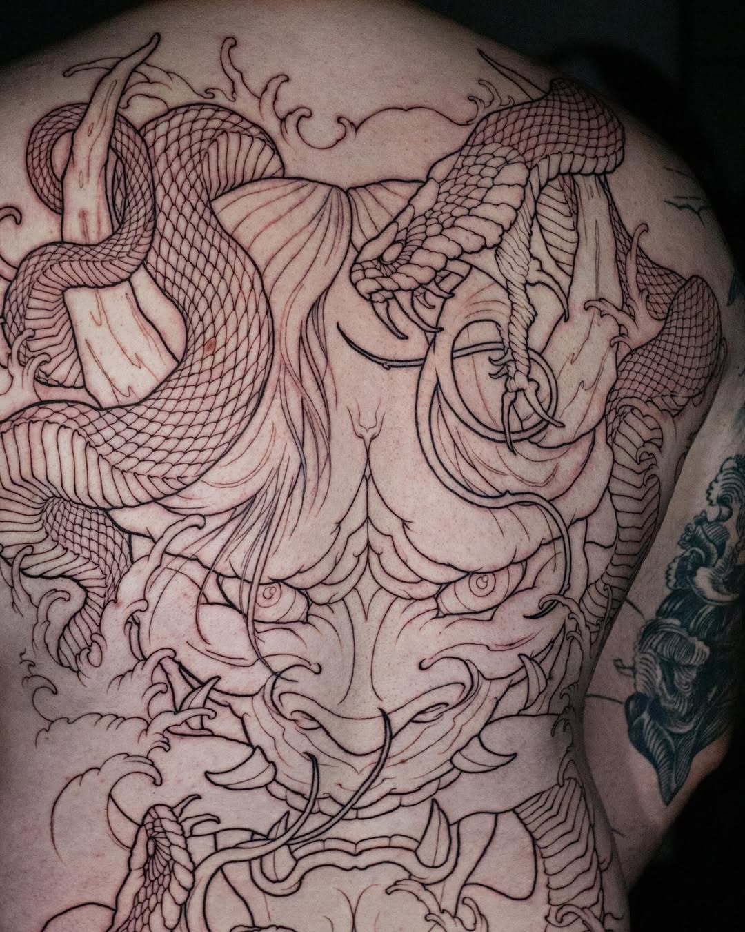 Dragon