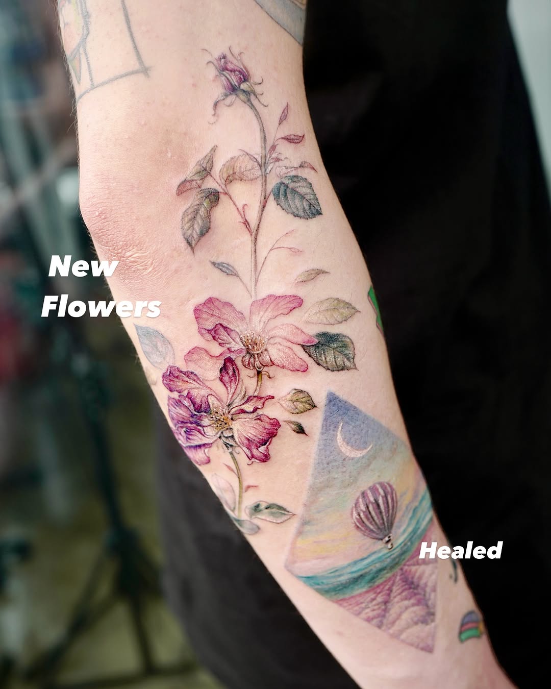 Flower, Rose