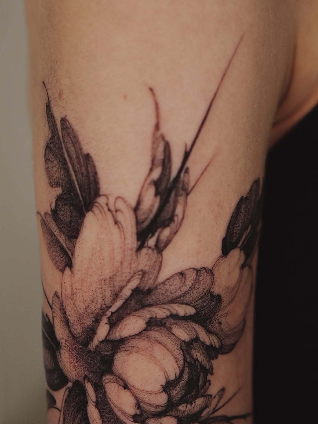 Flower, Rose, Nature