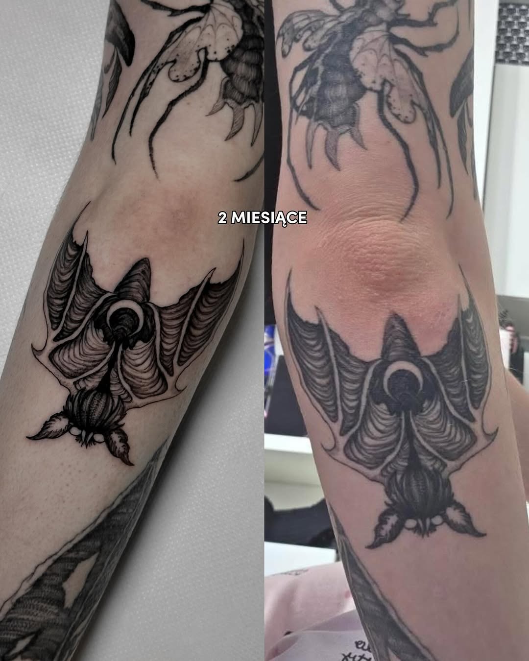 sve.tattoo