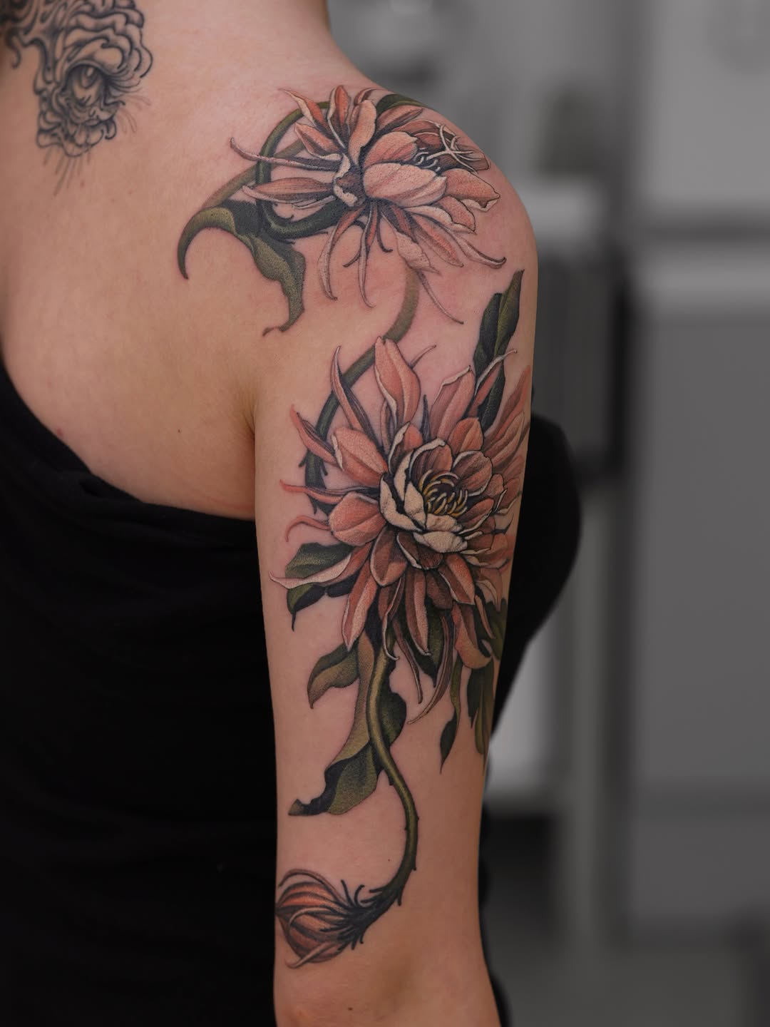 Flower, Rose, Nature