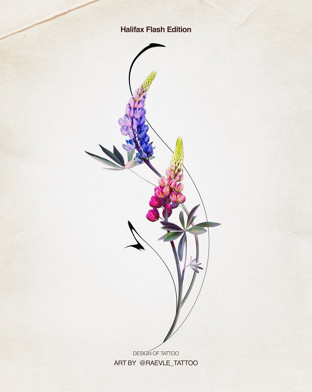 랍스터
