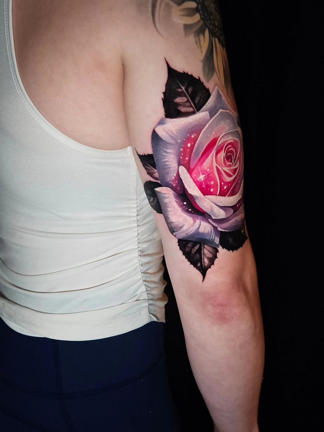 Flower, Rose, Nature