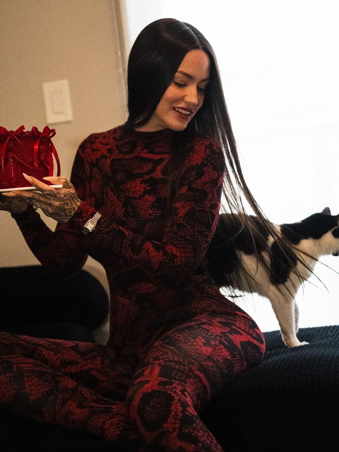 Animal