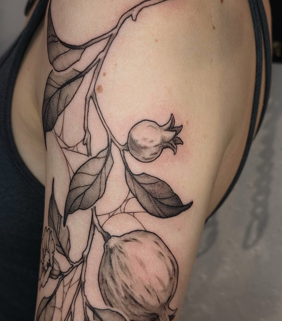 Flower, Rose, Nature
