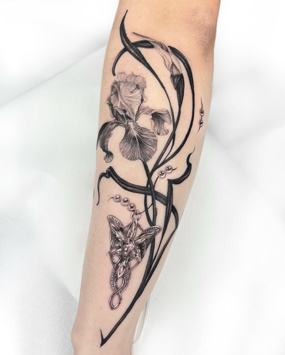 Flower, Nature, Rose