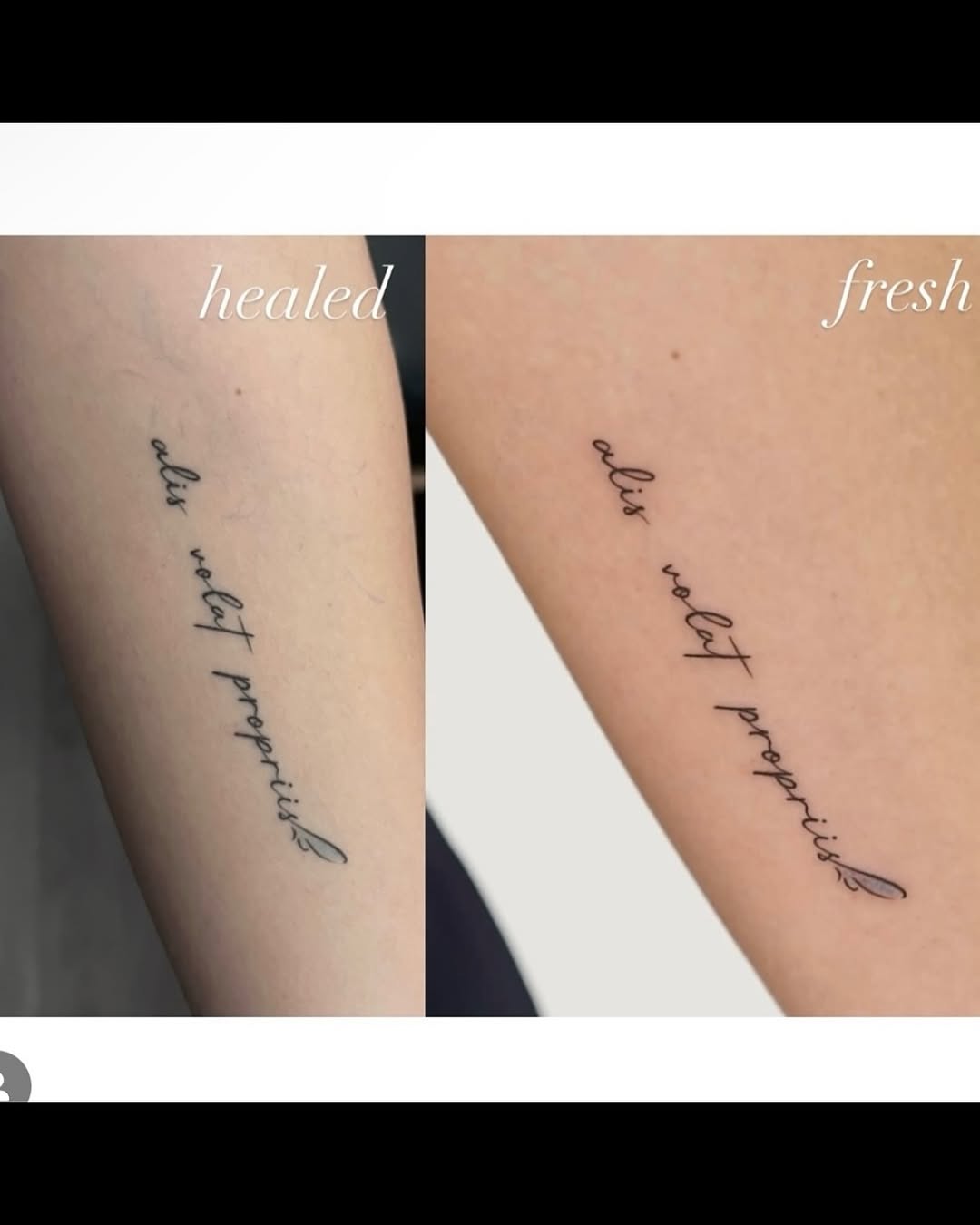 하임☽ Seoultattoo Tokyotattoo 韓国タトゥー ソウルタトゥー 東京タトゥー