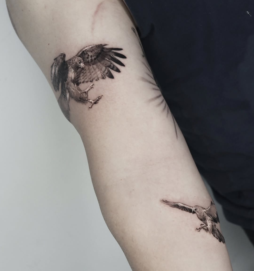 Animal, 매