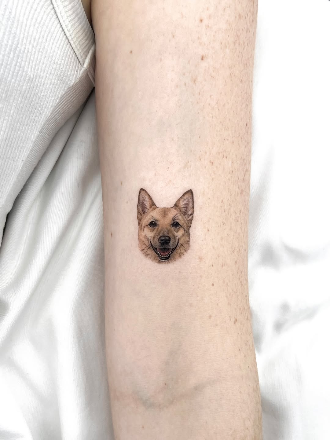 반려동물