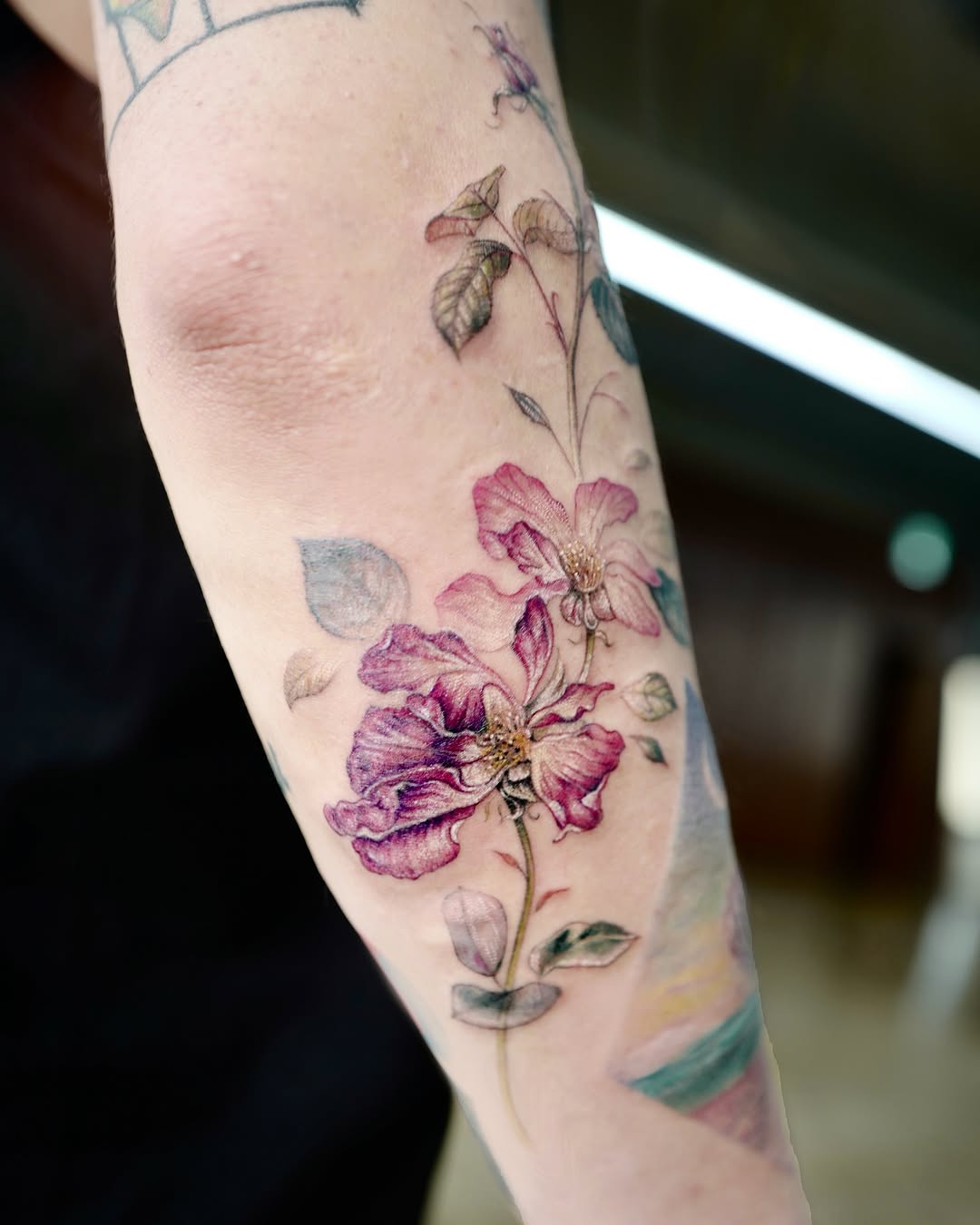 Flower, Rose