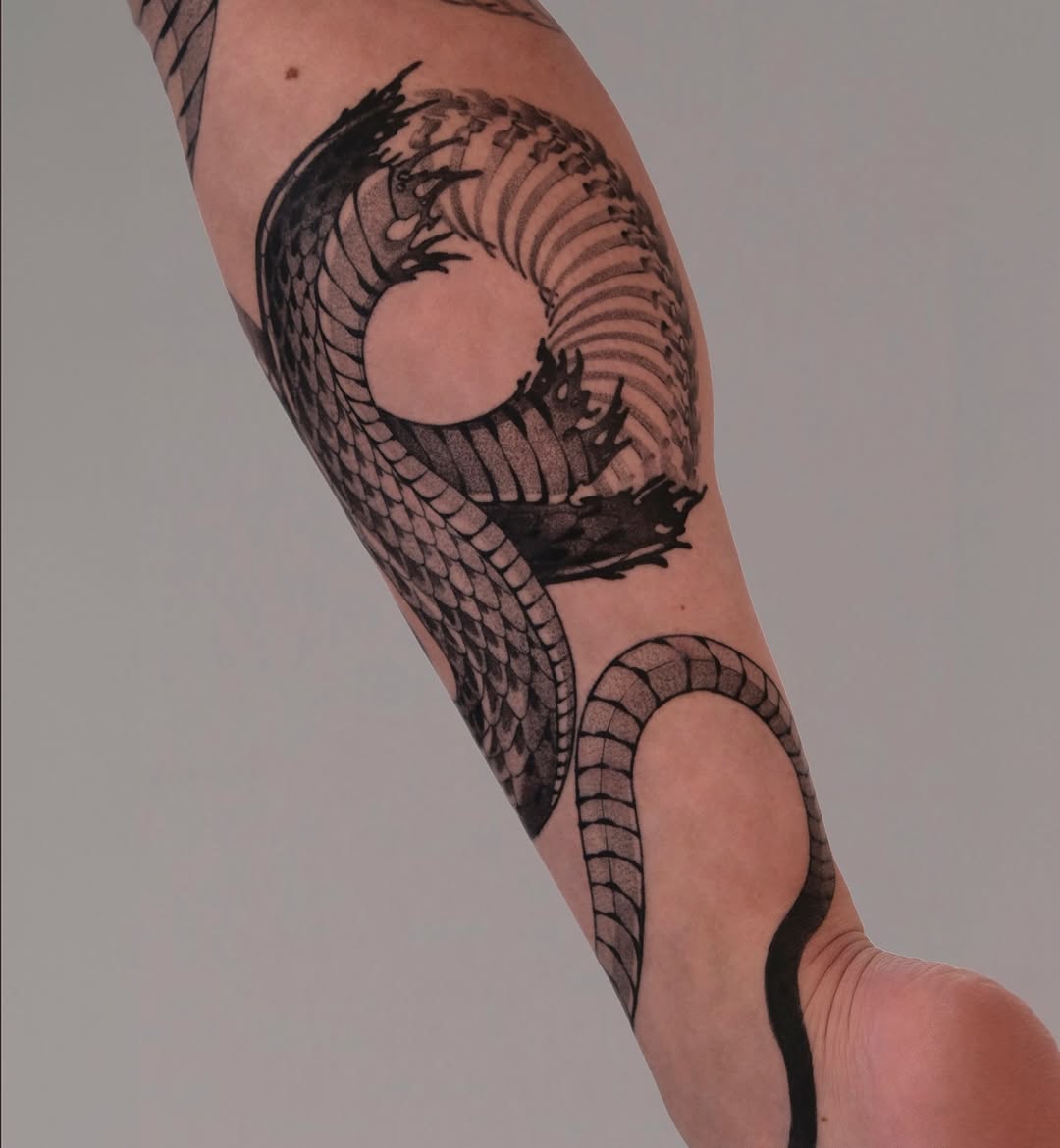 Dragon