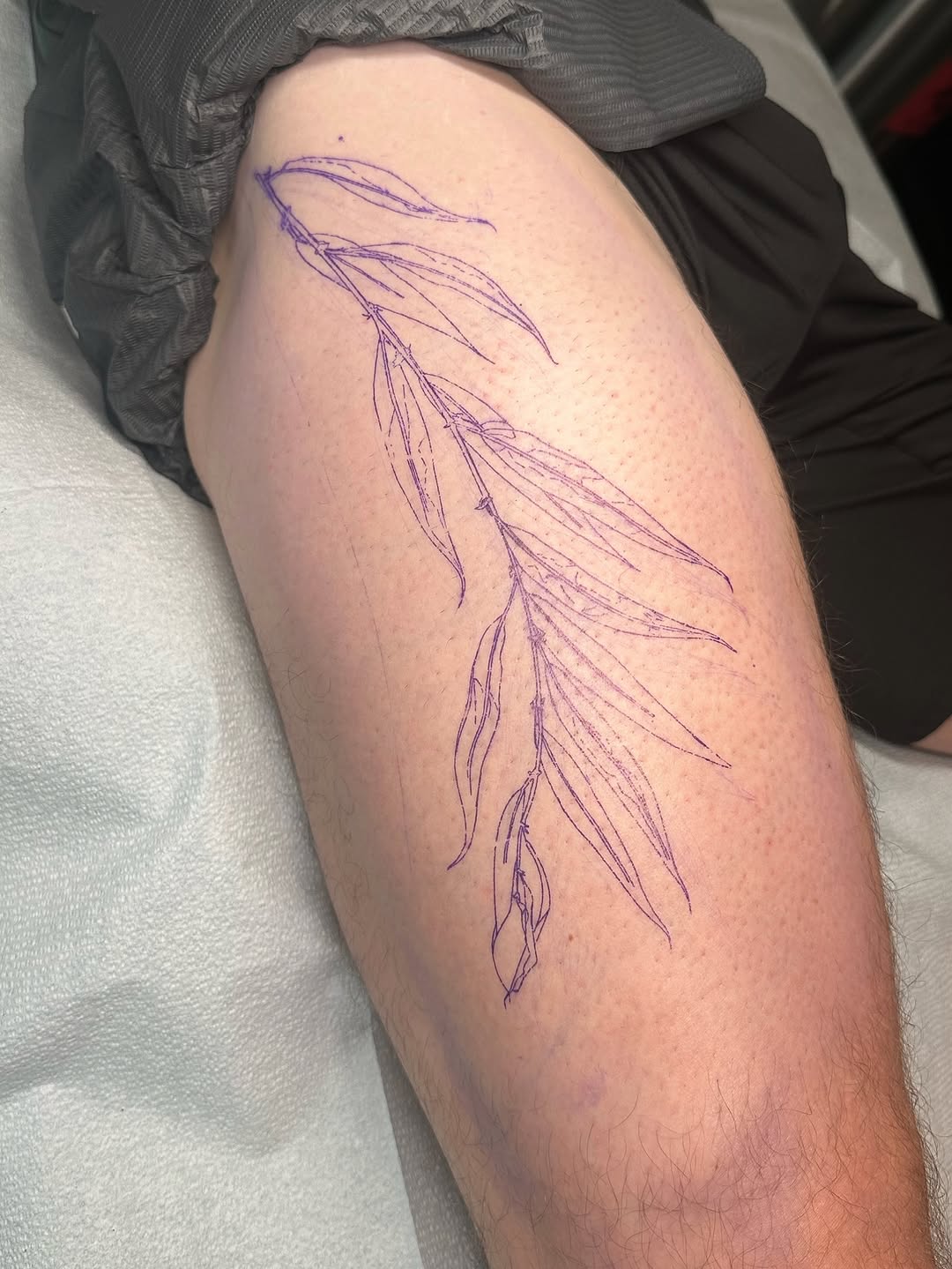 Flower, 풀, 잎, 대나무, 단풍잎