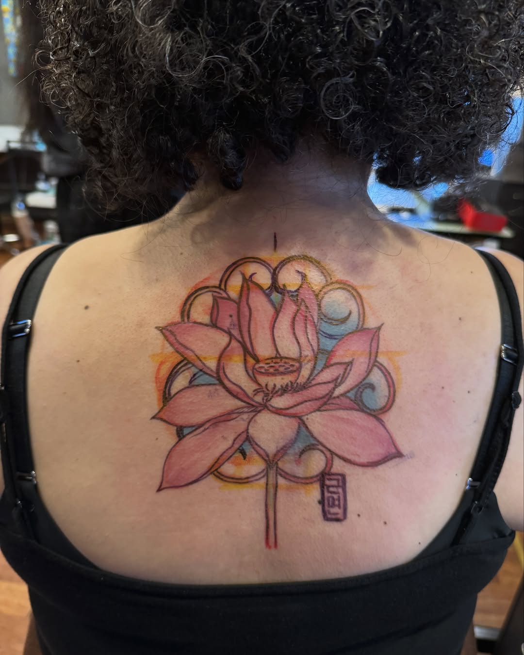 Flower, Nature, Rose