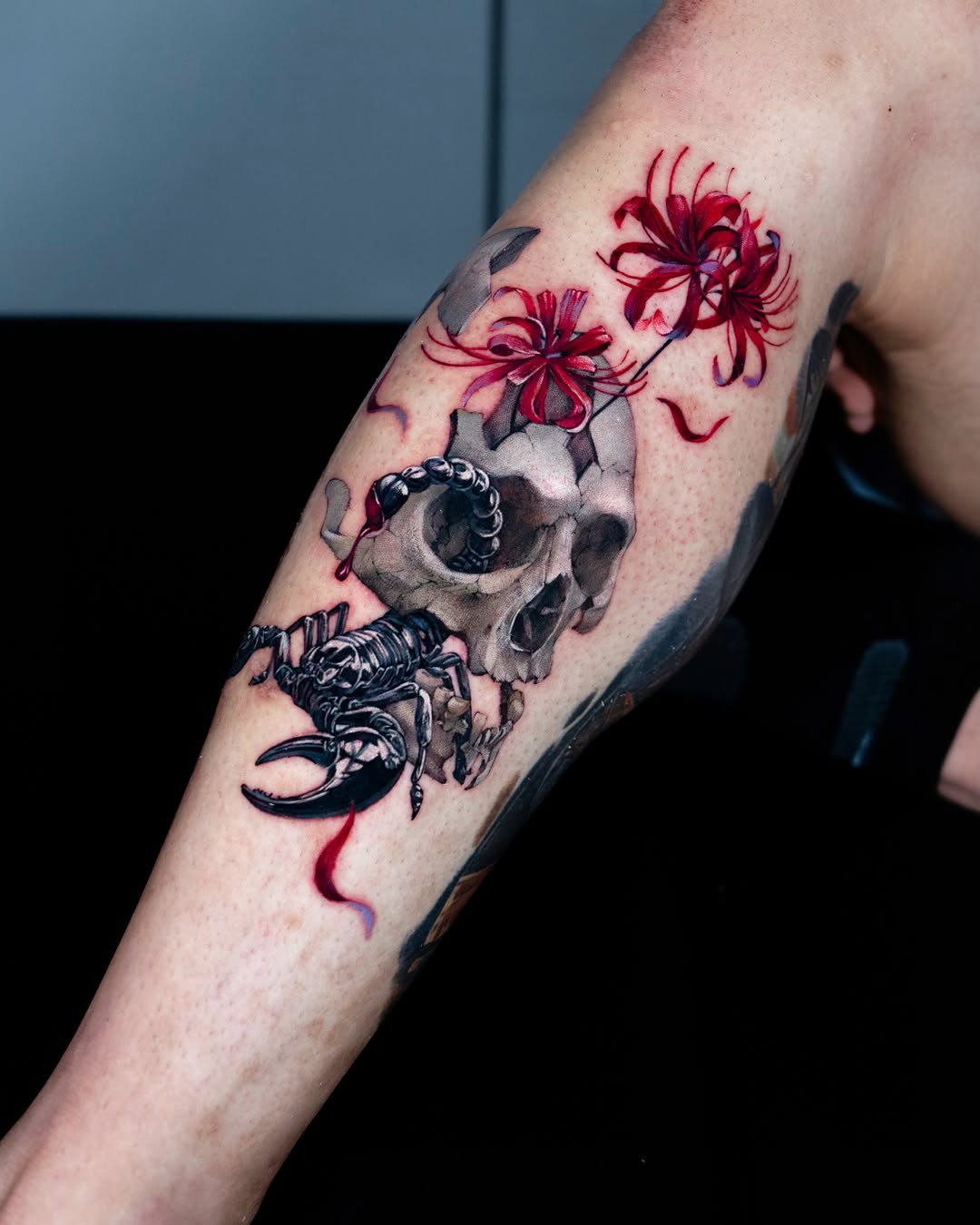 Flower, Rose