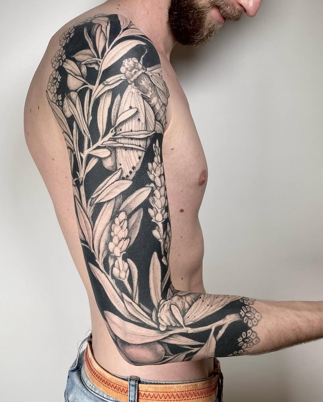 Flower, Animal, Nature, Rose