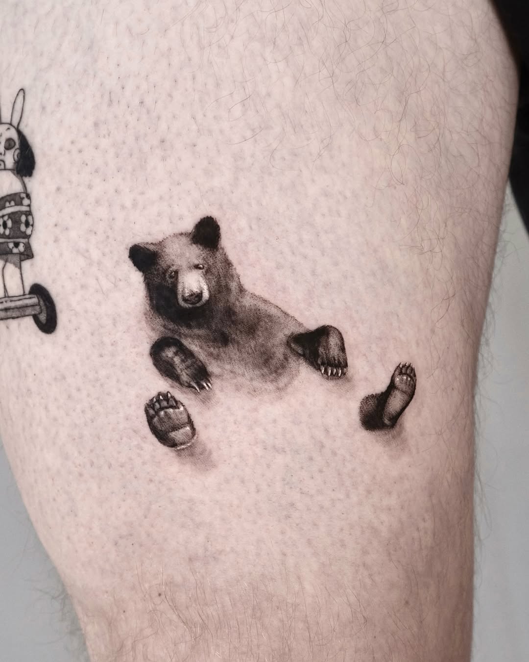 Animal