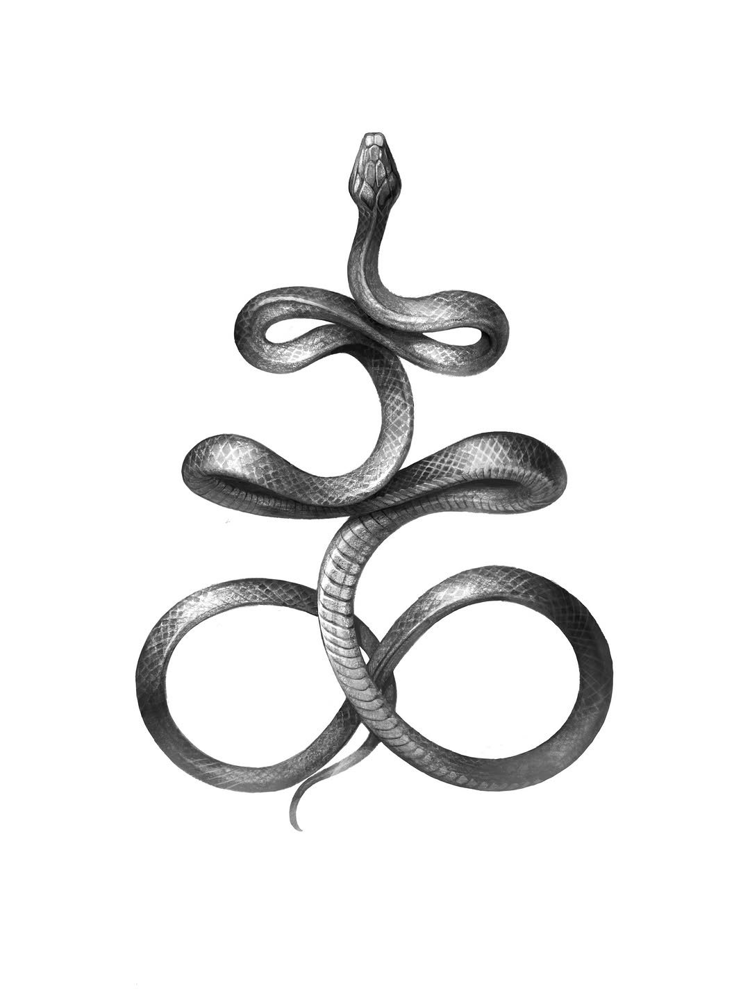 Snake, Dragon